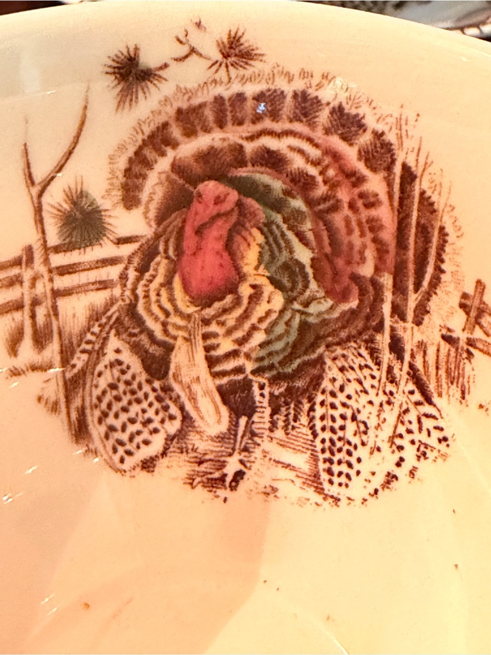 Johnson Brothers His Majesty Turkey, Fruits, Nuts Cup and Sauer, Made in England - Picture 13 of 16